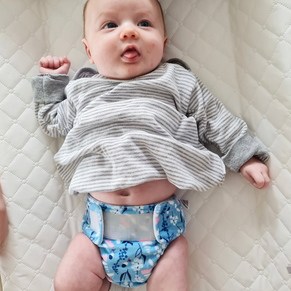 Pebbles | Newborn Cloth Nappy | Campanula (Minky)