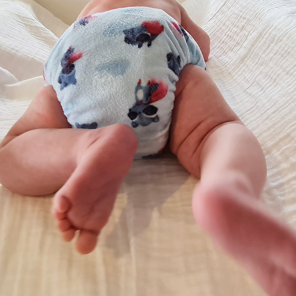 Pebbles | Newborn Cloth Nappy | Rocket (Minky)