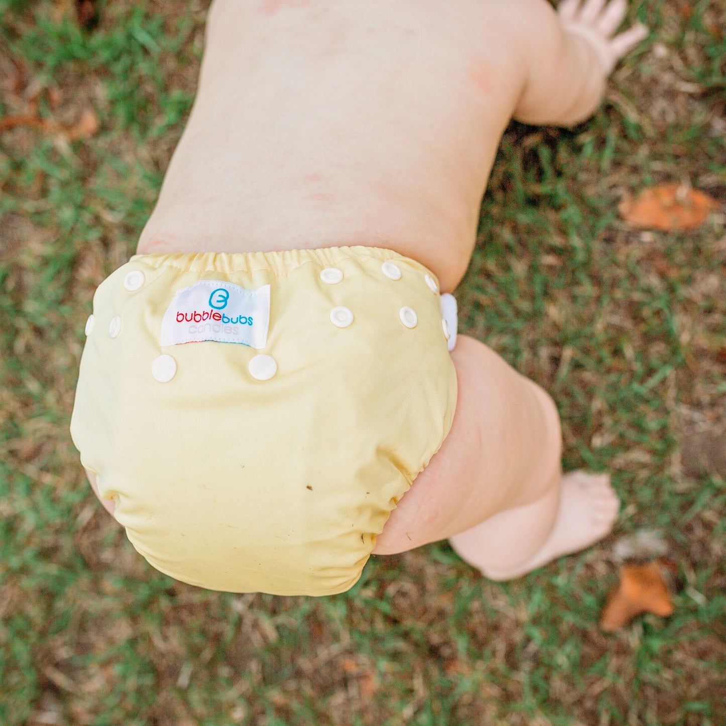 Candie | Complete Cloth Nappy | Lemondrop (PUL)