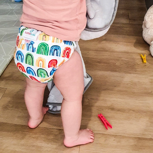 Candie | Complete Cloth Nappy | Hope (Minky)