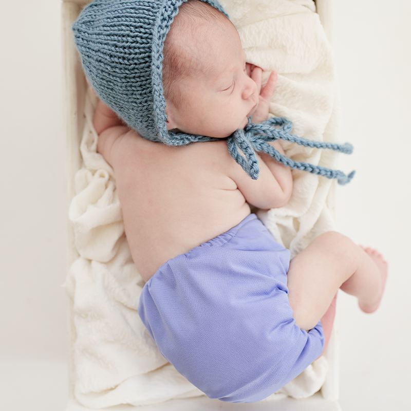 Pebbles | Newborn Cloth Nappy | Grape (PUL)