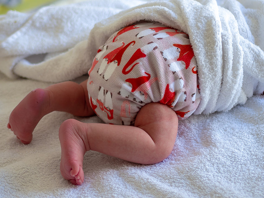 A newborn wearing a Pebbles all-in-one cloth nappy from bubblebubs. 