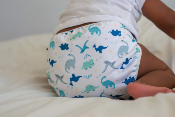 dino pul cover for newborn cloth nappies