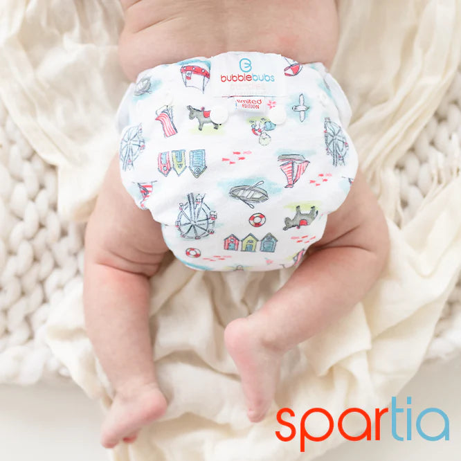 The Cloth Nappy Box Print Edition