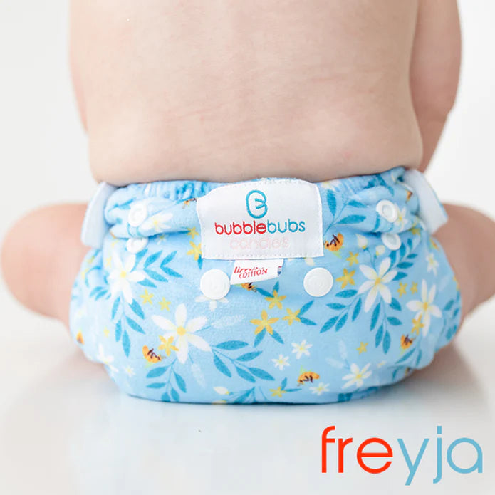 The Cloth Nappy Box Print Edition
