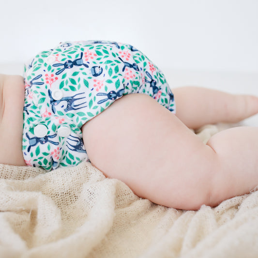 BoPeep | Newborn Cloth Nappy | Thumper (Minky)