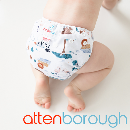 BoPeep | Newborn Cloth Nappy | Attenborough (Minky)