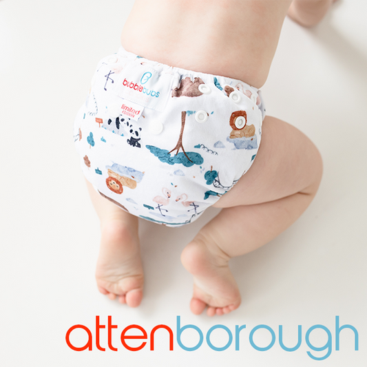 Candie | Complete Cloth Nappy | Attenborough (Minky)