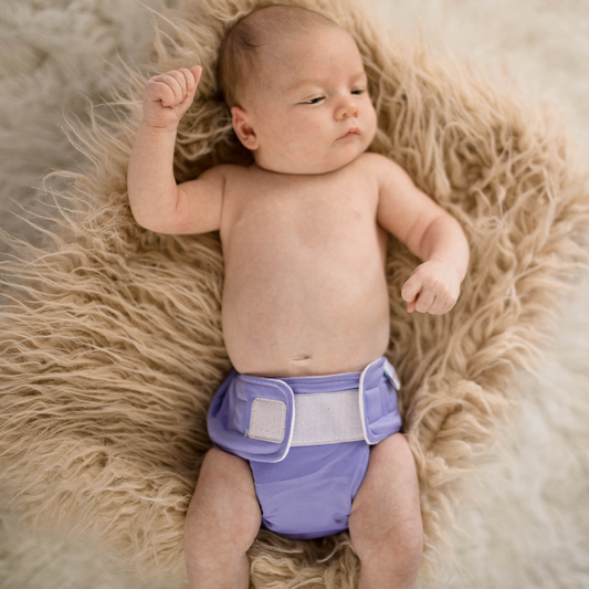 Pebbles | Newborn Cloth Nappy | Grape (PUL)